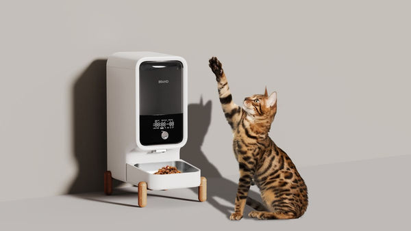 Top 5 Automatic Cat Feeders for Multi-Cat Households