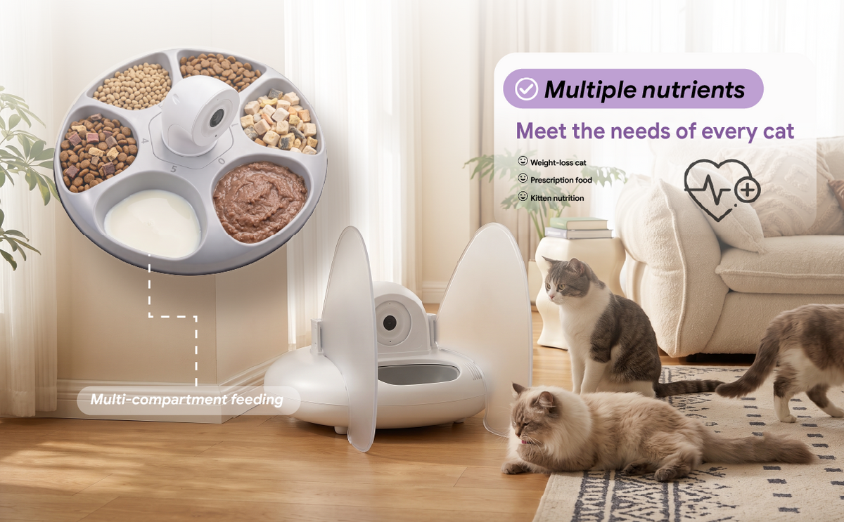 PapaPaw DietMatch selective cat feeder showing its 6-compartment rotating multi-meal tray filled with dry kibble, freeze-dried treats, wet food, and goat milk. Highlighting custom nutrition and mixed feeding for weight-loss cats, prescription food diets, and kitten health.