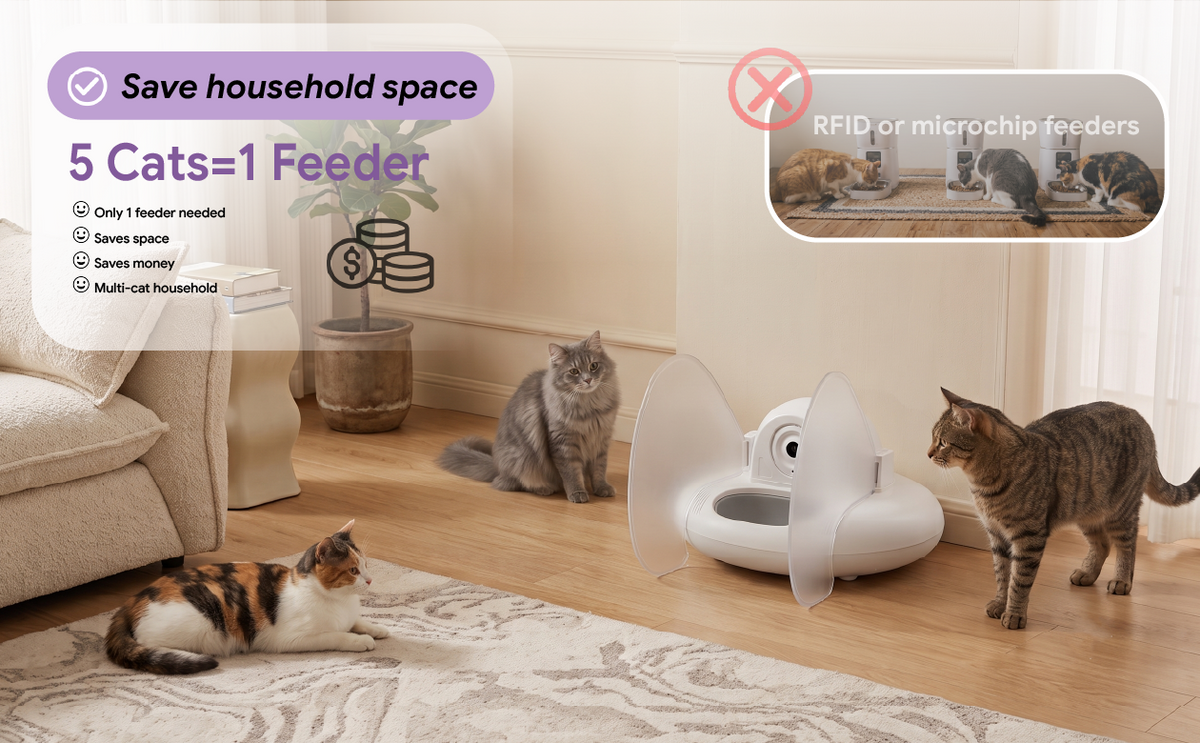 PapaPaw DietMatch smart cat feeder compared with traditional RFID or microchip feeders. Demonstrating the 5 cats 1 feeder solution that saves household space and money, perfect for managing food intake in a busy multi-cat household.