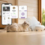 PapaPaw DietMatch | Smart AI Cat Feeder for Multi-Cat Homes - PapaPaw